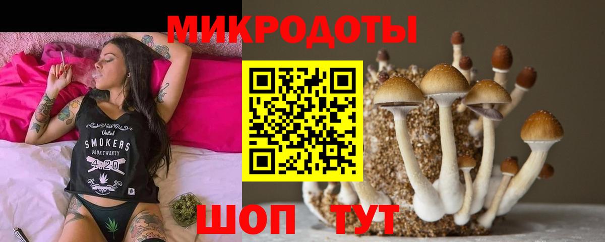 Рославль  Псилоцибиновые грибы Magic Shrooms  Вход с VPN 